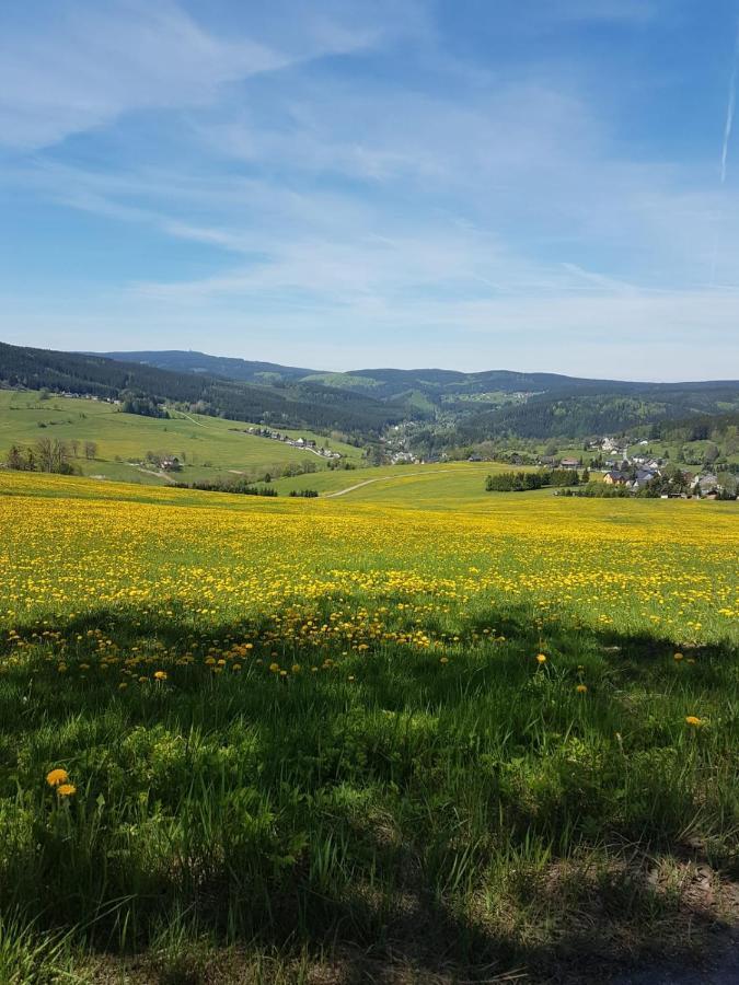 Heike Strobel Schwarzenberg/Erzgebirge